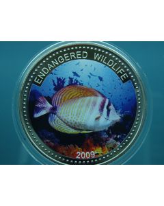 Palau  Dollar2009 km# 285 