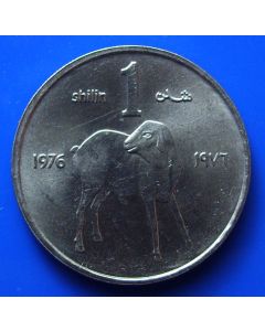 Somalia 	 Shilling	1976	 - F.A.O.  Lamb