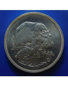 Sudan  5 Pounds	1976	 - Hippopotamus with calf – Silver/ bu