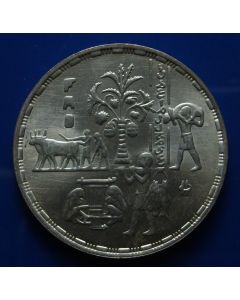 Egypt  5 Pounds  1995	 - 50th Anniversary of the Food and Agriculture Organization 