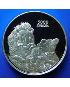 Zambia 	 5000 Kwacha	1999	 - Lion' pride - Silver / Proof
