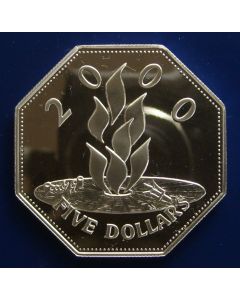 Barbados 	5 Dollars	2000	 - Millennium - Eternal flame - Proof / Silver (extreem low mintage, only 50 piece)