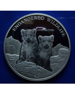 Mongolia 500 Tugrik 2008 Two snow leopards (Uncia Uncia)- Proof / Silver