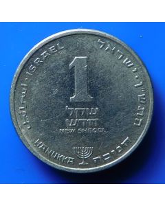 Israel  New Sheqel1990 km# 163    Schön# 169