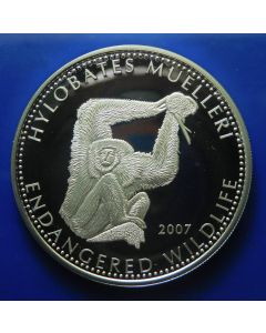Ghana 	500 Sika	2007	 Hylobates muelleri (Borneo gibbon)