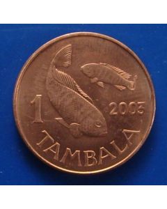 Malawi  Tambala2003km# 33a 